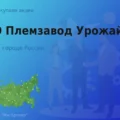 Покупаем акции ОАО Племзавод Урожай, дорого