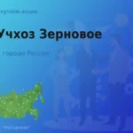 Продать акции АО Учхоз Зерновое, дорого покупаем